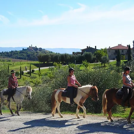 Farm stay Fattoria Voltrona San Gimignano