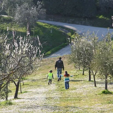 Fattoria Voltrona *