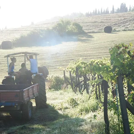Fattoria Voltrona * San Gimignano