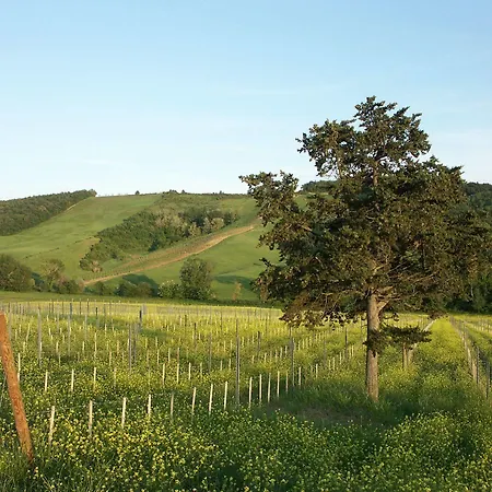 Fattoria Voltrona *