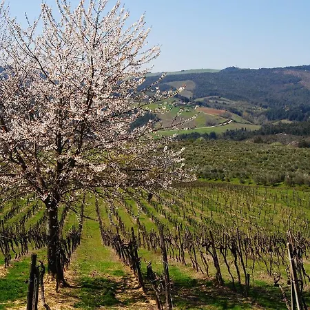 Vakantieboerderij Fattoria Voltrona