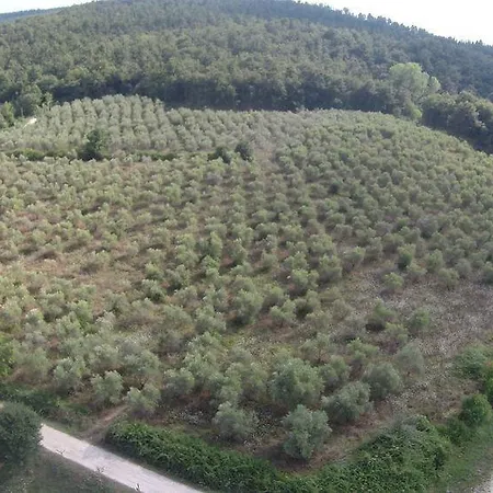 Fattoria Voltrona Vakantieboerderij San Gimignano