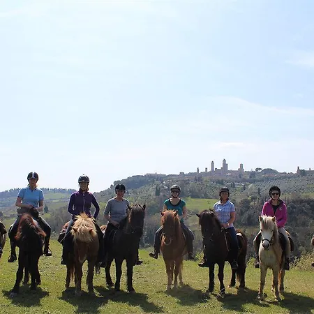 Alloggio per agriturismo Fattoria Voltrona
