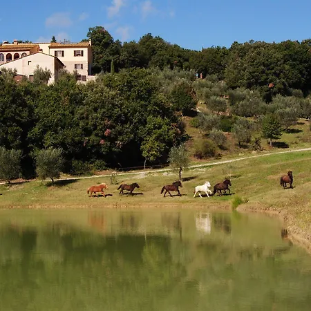 Vakantieboerderij Fattoria Voltrona