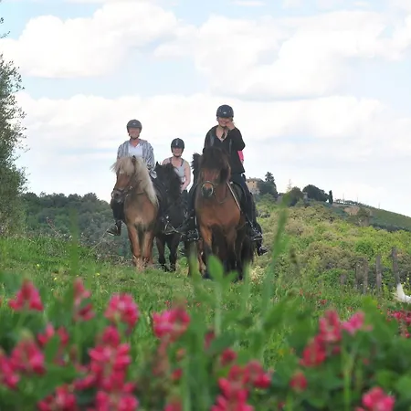 Fattoria Voltrona Vakantieboerderij *