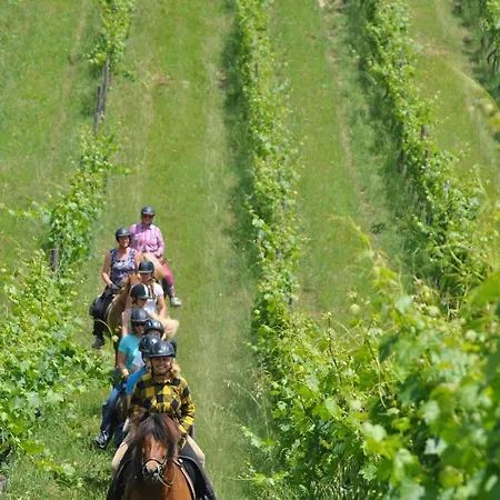 Fattoria Voltrona